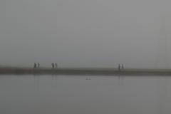 P1503467