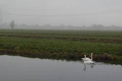 P1503495