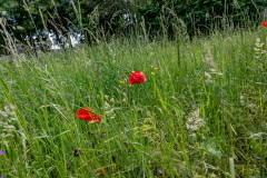 Wandelweekend-8846
