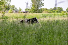 Wandelweekend-8849