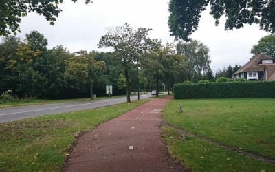 Vijfde Thuiswedstrijd