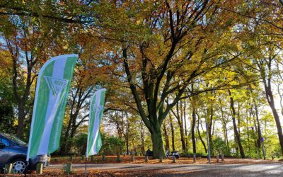 Genieten van herfstkleuren in het bos