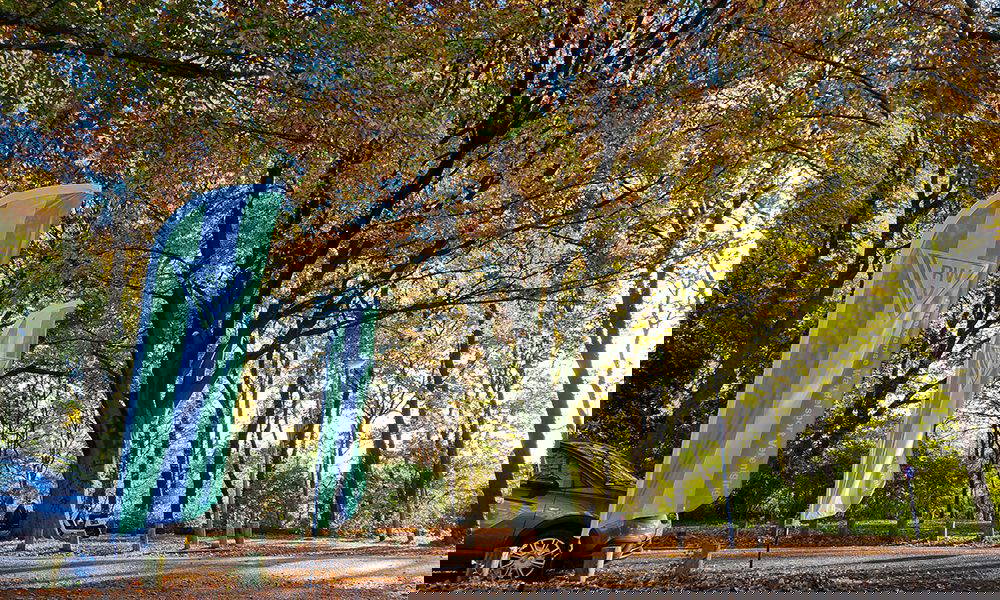 Genieten van herfstkleuren in het bos