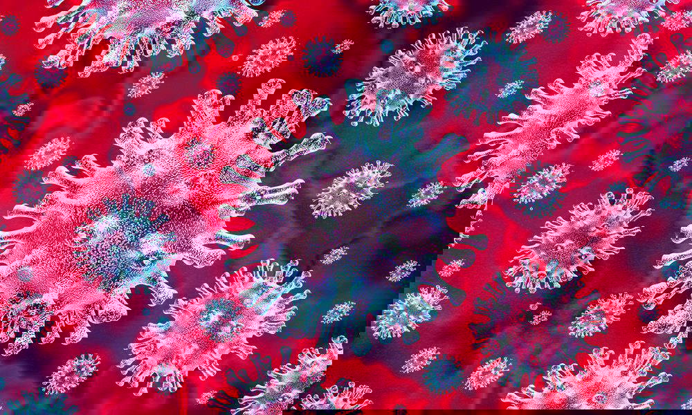 corina coronavirus covid-19 RWV Capelse Twee Daagse