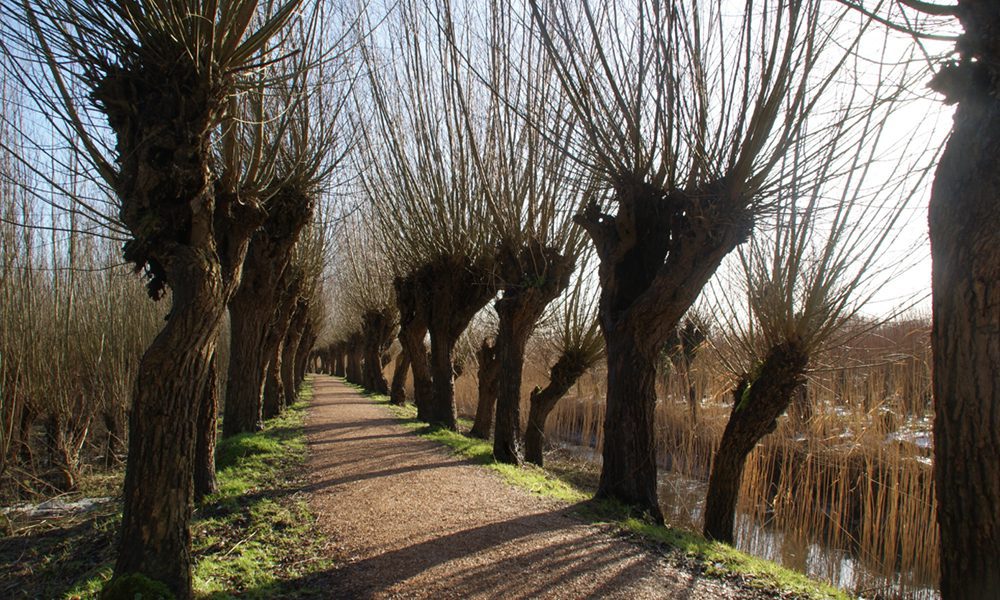 Rhoonse Griendentocht