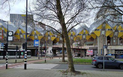 Enthousiasme bij laatste RWV Winterserie wandeling