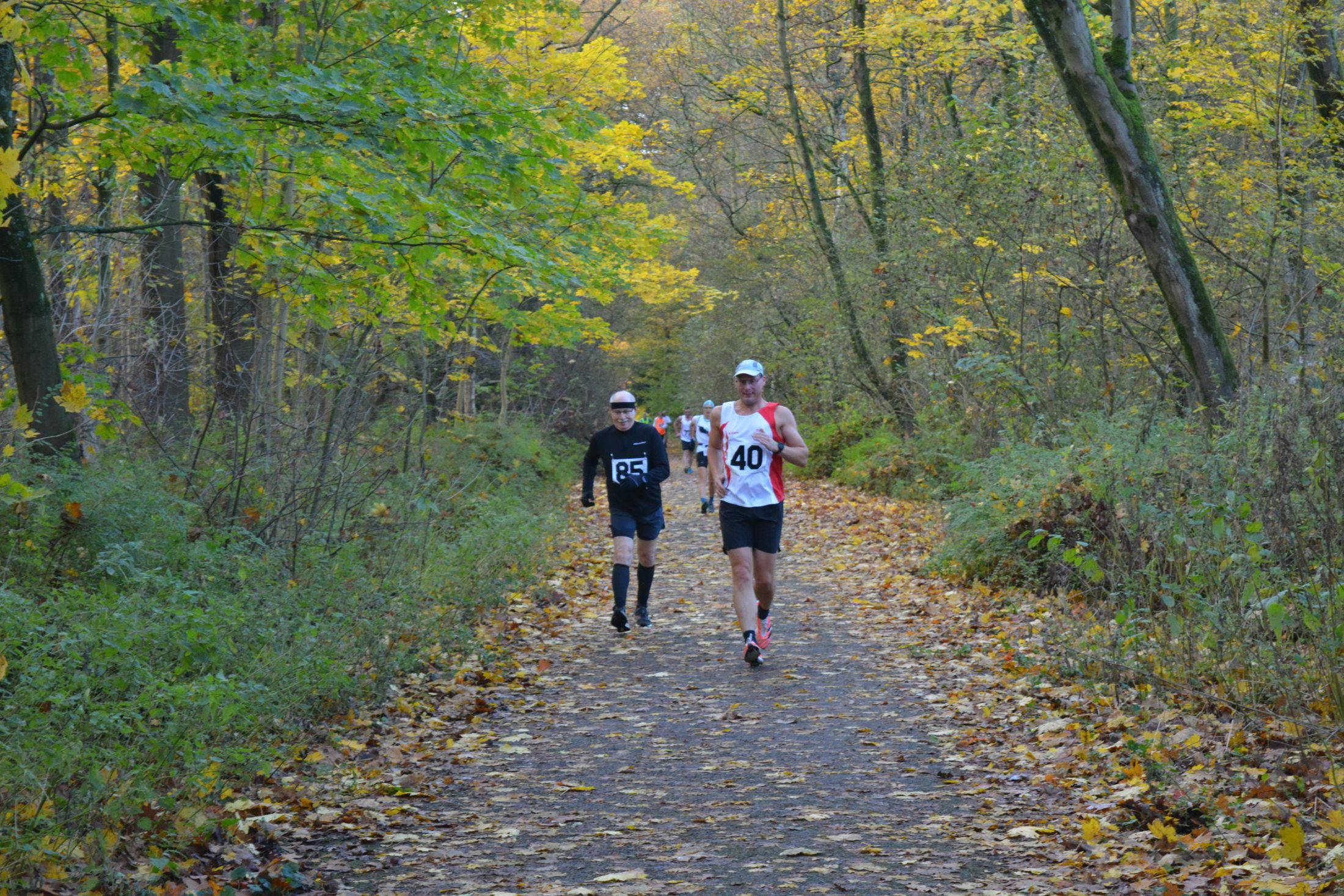 Winterserie Snelwandelen & Prestatie 2